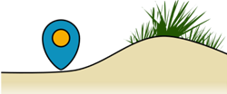 vegetazione e duna